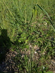IMG 20200504 183900
